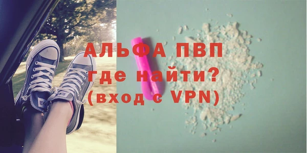 СК Касимов