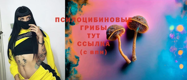 2c-b Карталы
