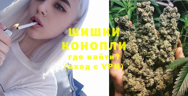 молекула духа Карпинск