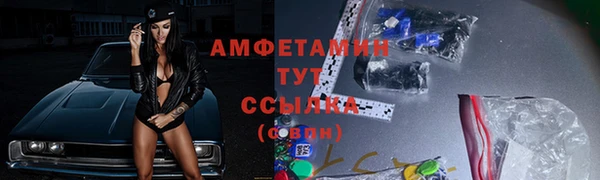 молекула духа Карпинск