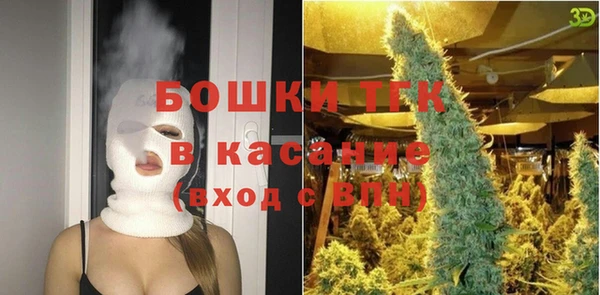 молекула духа Карпинск
