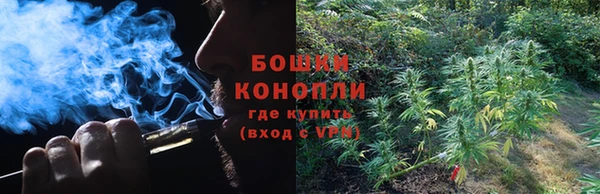 СК Касимов