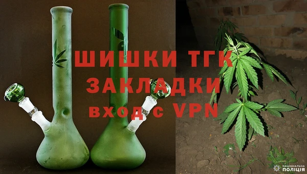 СК Касимов