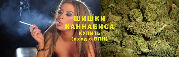 молекула духа Карпинск