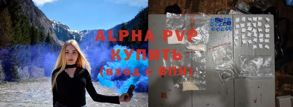 СК Касимов