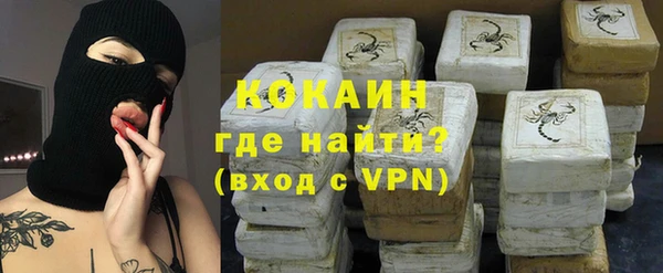 дживик Кинешма