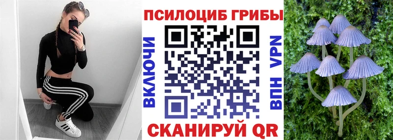 Галлюциногенные грибы Psilocybine cubensis  Купить закладки  Волосово 