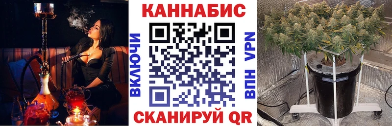 Бошки Шишки SATIVA & INDICA Купить закладки Волосово